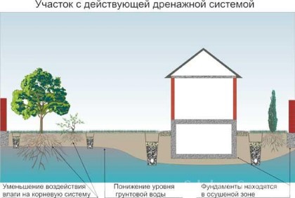 для чего необходима дренажная система