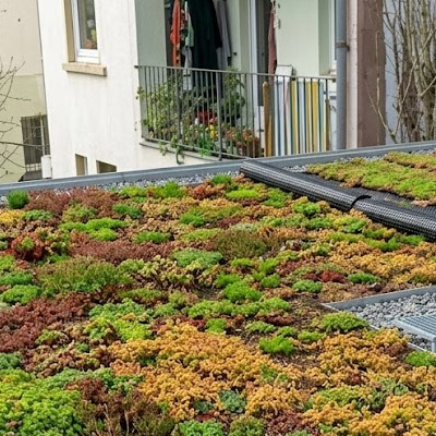 дренажная мембрана в применении фото