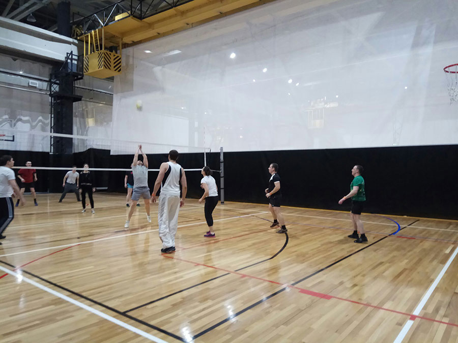 волейбольный матч