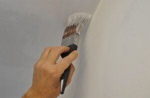 Простой способ покрасить потолок водоэмульсионной краской без разводов