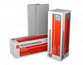 картинка XPS ТЕХНОНИКОЛЬ CARBON SOLID тип Б