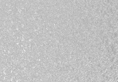 детальное изображения Изоспан FX